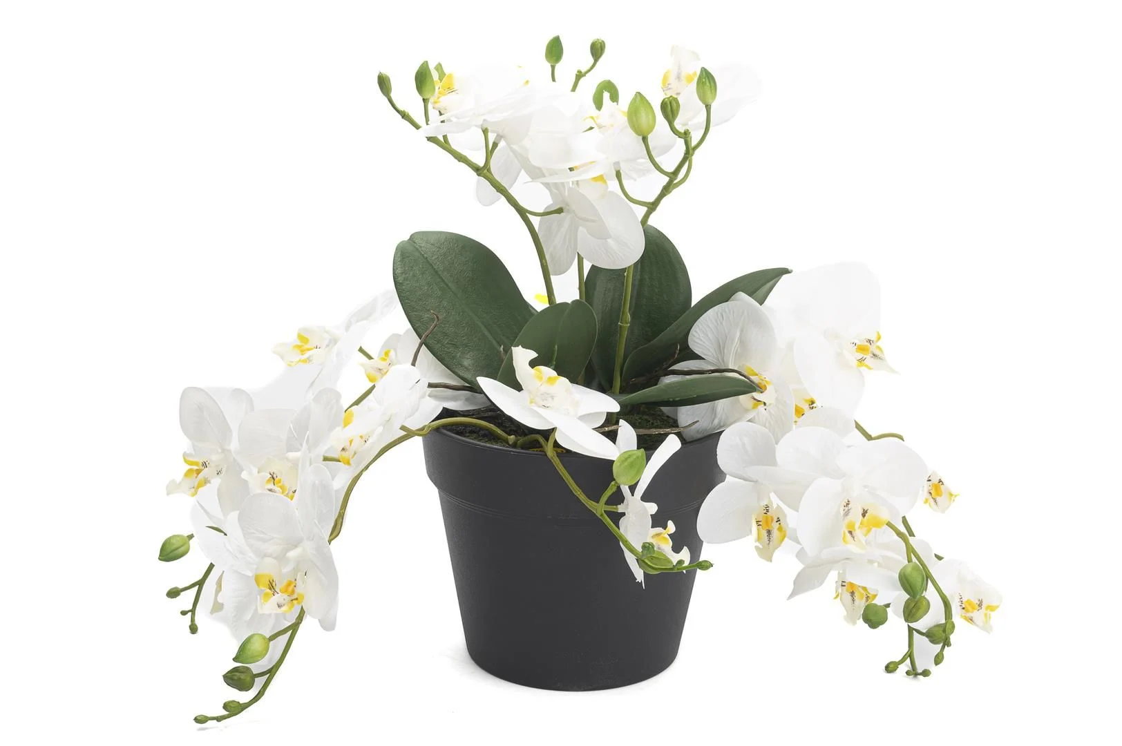 Beyaz Sarkan Yapay Orkide 33cm - 1