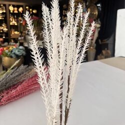Yapay Dekoratif Pampas Dalı Beyaz - Dekor Arya