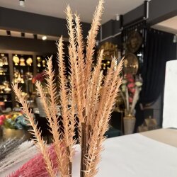 Yapay Dekoratif Pampas Dalı Karamel Bej - Dekor Arya