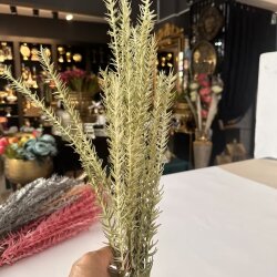 Yapay Dekoratif Pampas Dalı Yeşil - Dekor Arya