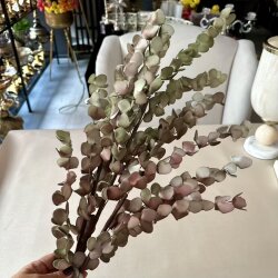 Yapay Sarkıt Okaliptüs Dalı Kahverengi - Dekor Arya