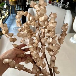 Yapay Sarkıt Okaliptüs Dalı Karamel Bej - 