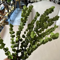 Yapay Sarkıt Okaliptüs Dalı Yeşil - Dekor Arya